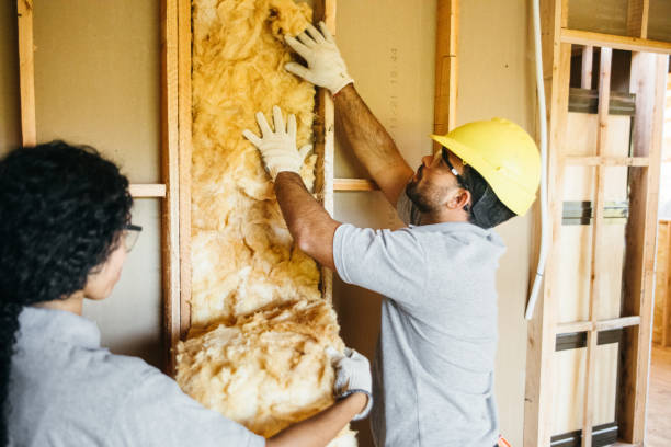 Best Insulation Removal  in North Syracuse, NY