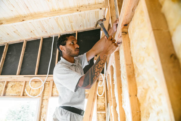 Best Professional Insulation Contractor  in North Syracuse, NY
